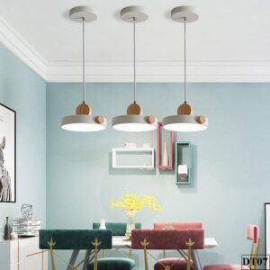 Đèn thả bàn ăn Pon - DT07