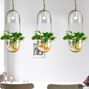 Đèn thả trồng cây thuỷ tinh Pebble DF079