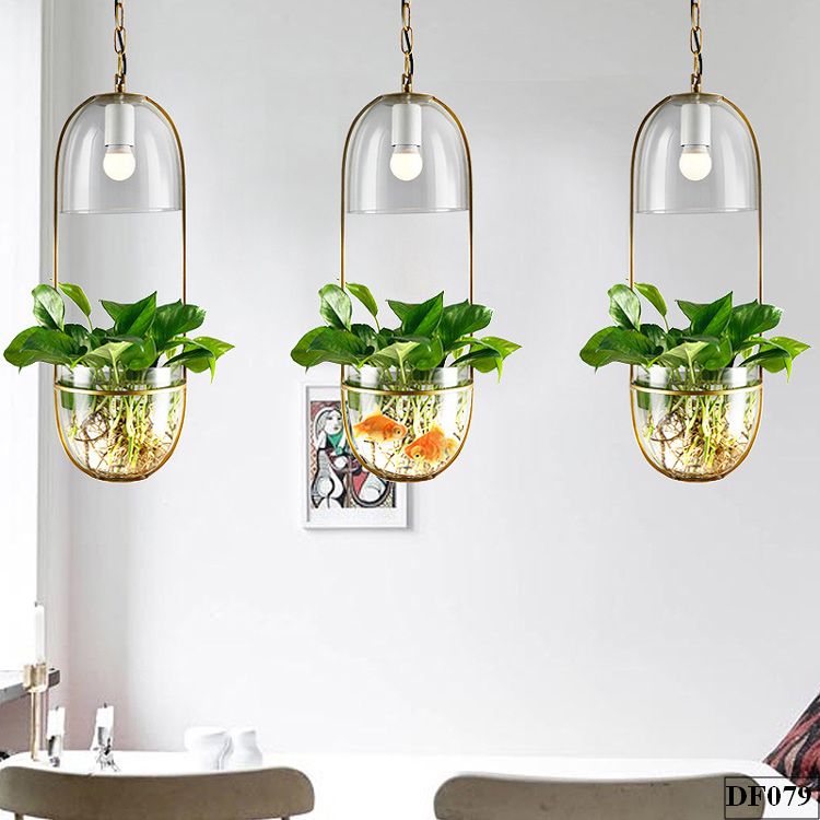 Đèn thả trồng cây thuỷ tinh Pebble DF079 - Hoài An Vendor Đèn thả trồng cây thuỷ tinh Pebble DF079